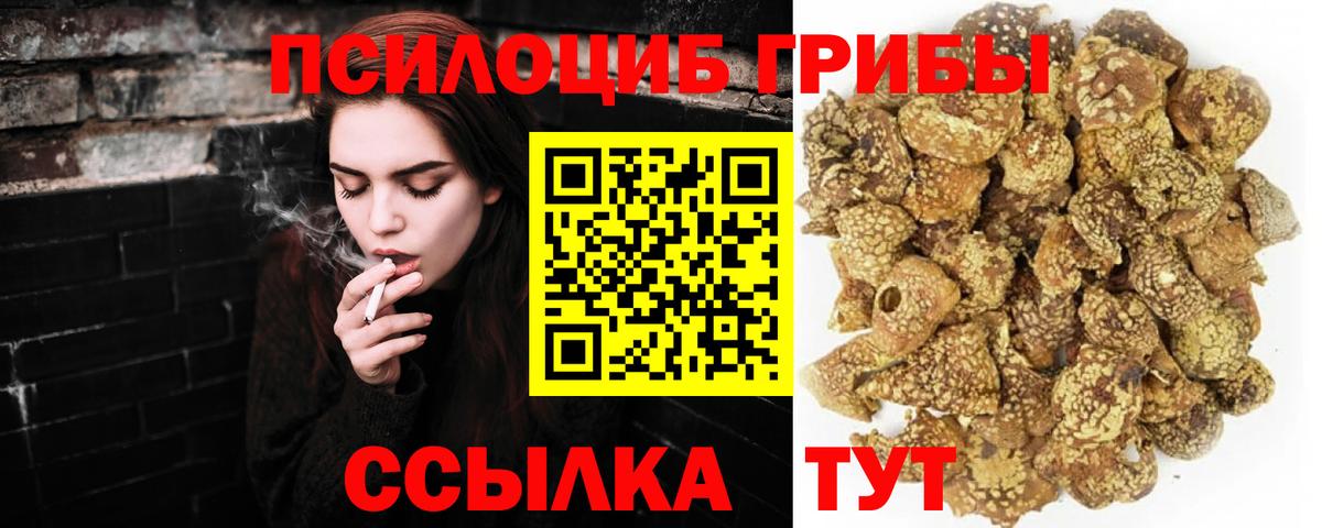 Лабытнанги  Галлюциногенные грибы мухоморы  Вход с VPN 